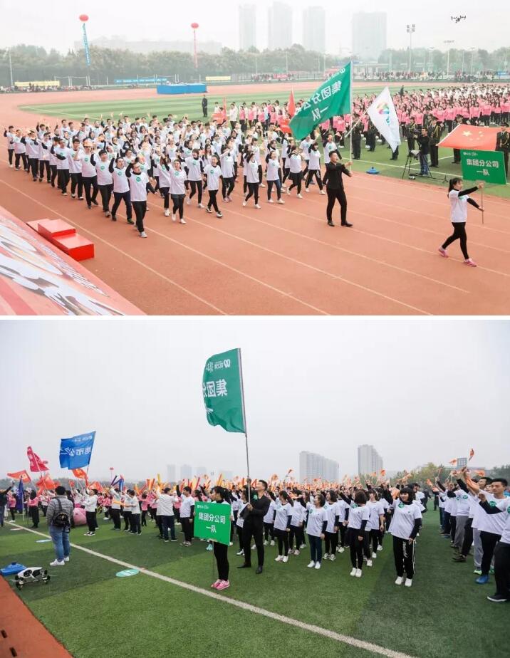 凝心聚力在云和,同心同行再出发——集团“花YOUNG运动会”精彩瞬间