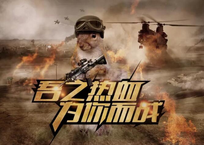 先学习再选择,这批99元体验班的学员都说值!