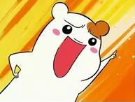 双11,是“剁手党”的狂欢,也是他们的不眠夜!