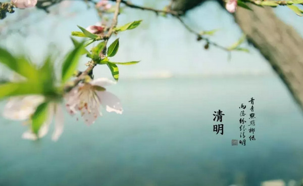 配图1 云和数据2019年清明节放假通知.jpg